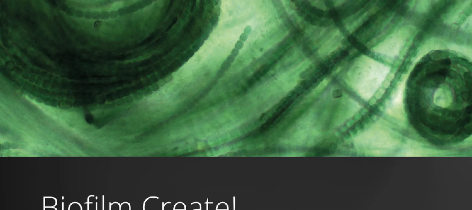 Biofilm Create Announcement of art competition with an artistic image of a biofilm. Competition is open until 23 October.