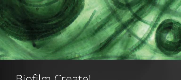 Biofilm Create Announcement of art competition with an artistic image of a biofilm. Competition is open until 23 October.