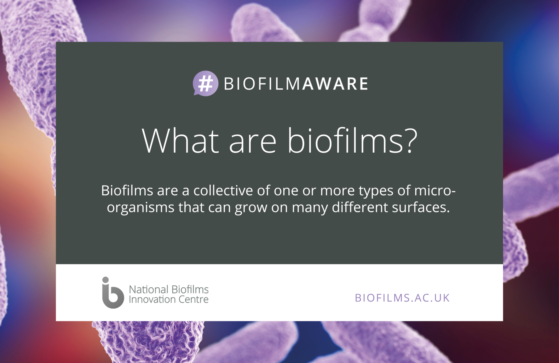 Activities & Resources | Edinburgh Biofilms Innovation | Edinburgh ...